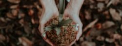Mental wellbeing